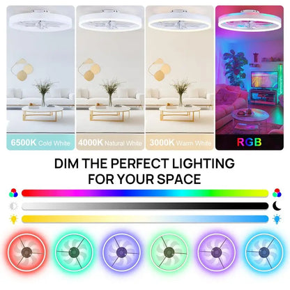 RGB Ceiling Fan