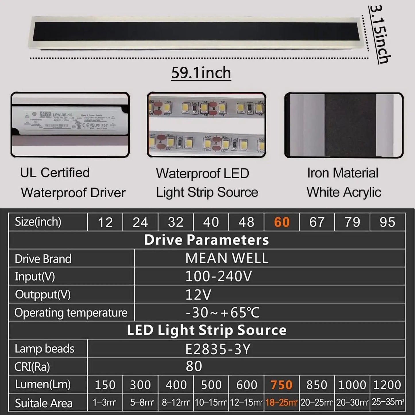 Outdoor Wall Mounted Lighting Fixture
