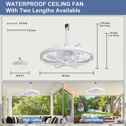 20" Outdoor Ceiling Fan with Lights
