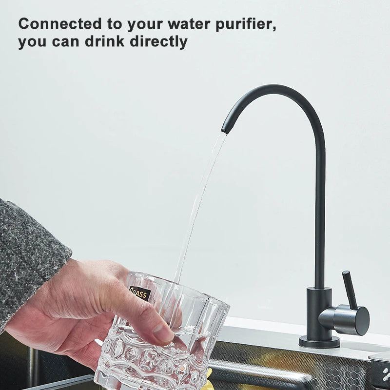 Sink with Faucet