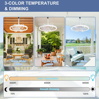 20" Outdoor Ceiling Fan with Lights