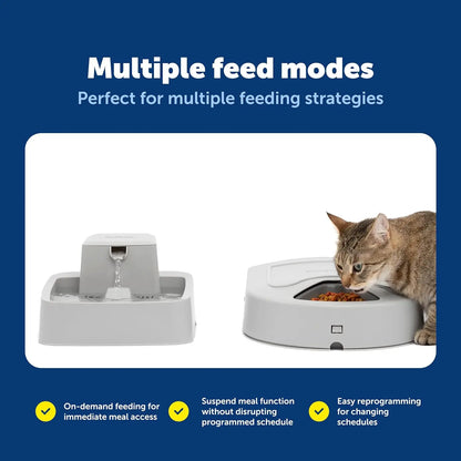 5 Meal Automatic Dog Feeder