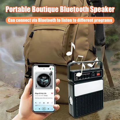 Portable radio Bluetooth speaker